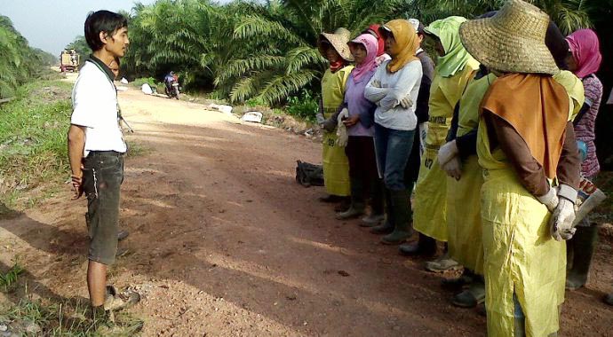 perempuan sawit 1